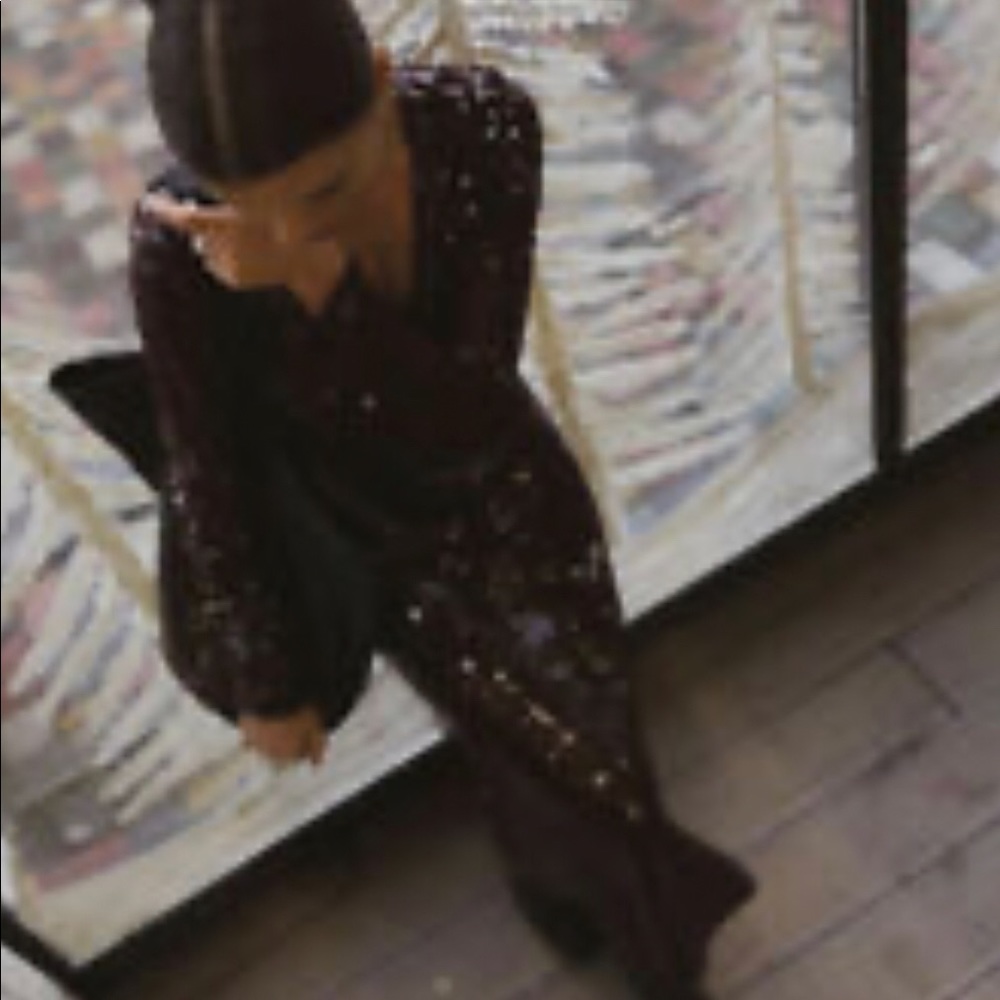 LAST size L NWT ZARA LIMITED EDITION SEQUIN DRESS - Picture 4 of 8